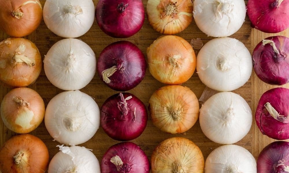 Onion seed
